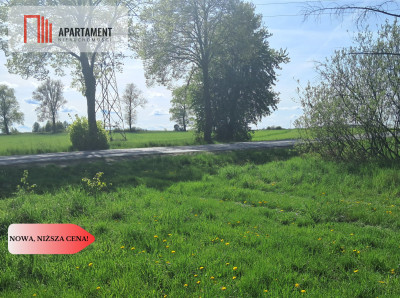 Działka siedliskowa z potencjałem na agroturystykę - powiat złotowski  -
Wielkopolskie Zdjęcie nr 8