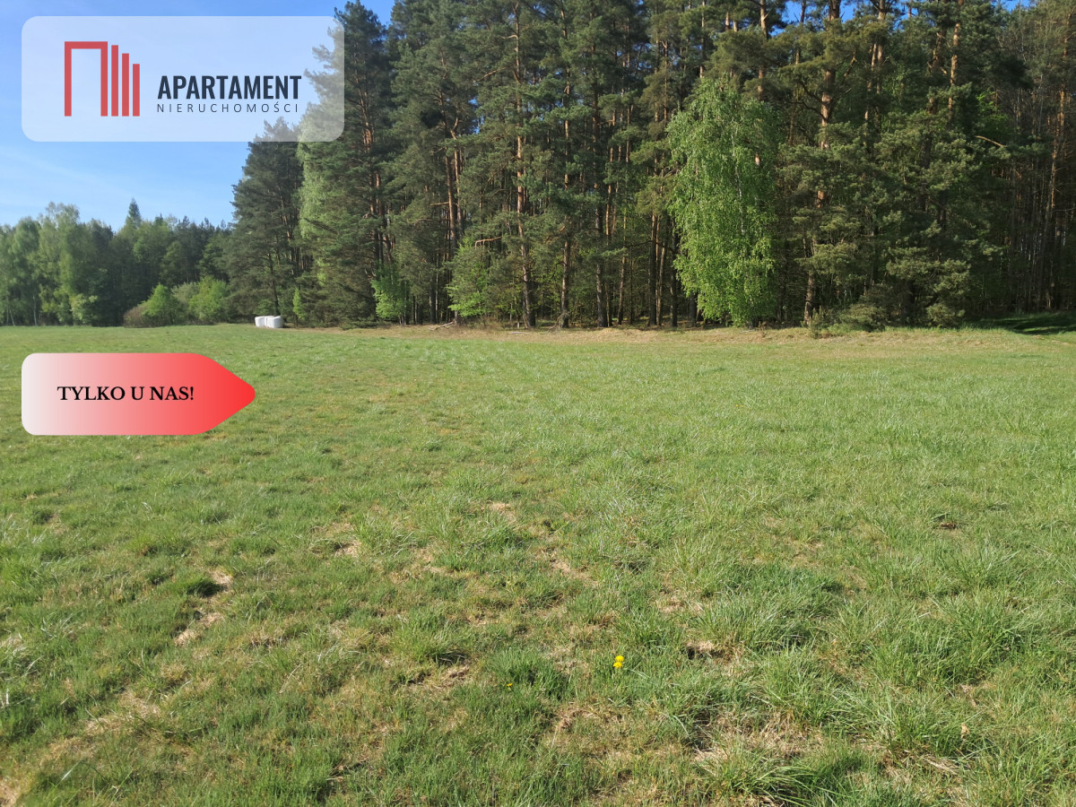 Działki rolne 206 ha  Górzna k Złotowa - powiat złotowski  -
Wielkopolskie Zdjęcie nr 1