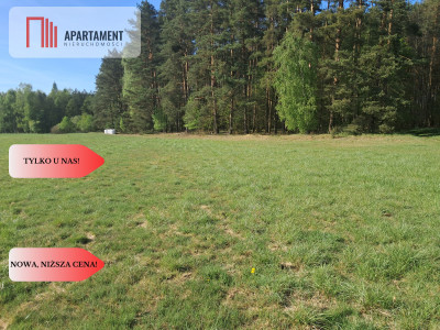 Spokojna działka siedliskowa -Twoja przestrzeń - powiat złotowski  -
Wielkopolskie
