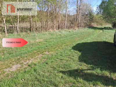 Działki rolne 206 ha  Górzna k Złotowa - powiat złotowski  -
Wielkopolskie Zdjęcie nr 5