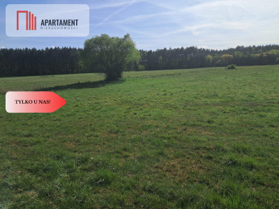 Działki rolne 206 ha  Górzna k Złotowa - powiat złotowski  -
Wielkopolskie Zdjęcie nr 6