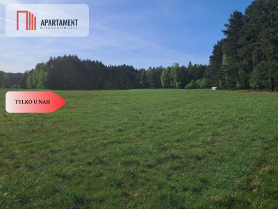 Działki rolne 206 ha  Górzna k Złotowa - powiat złotowski  -
Wielkopolskie Zdjęcie nr 8