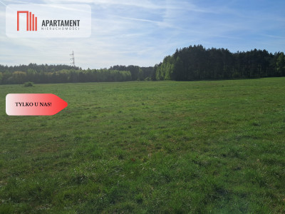 Działki rolne 206 ha  Górzna k Złotowa - powiat złotowski  -
Wielkopolskie Zdjęcie nr 9