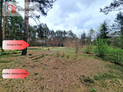 Działki z linią brzegową jeziora pod Toruniem -   -
Kujawsko-Pomorskie Zdjęcie nr 10