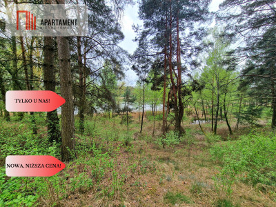 Działki z linią brzegową jeziora pod Toruniem -   -
Kujawsko-Pomorskie Zdjęcie nr 11