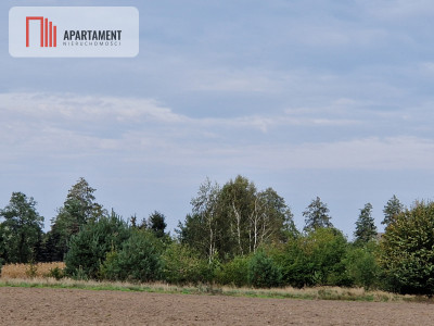 Działka budowlana w dogodnej lokalizacji z WZ - powiat żniński  -
Kujawsko-Pomorskie Zdjęcie nr 2