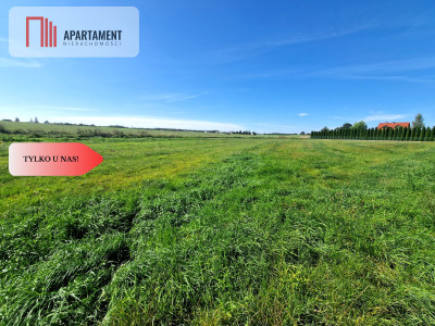 TYLKO U NAS DUŻA DZIAŁKA Z  WZ DOM DO 250m2 - powiat chojnicki  -
Pomorskie Zdjęcie nr 4