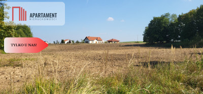 Działki z WZ- blisko jezioro - powiat bydgoski  -
Kujawsko-Pomorskie Zdjęcie nr 2