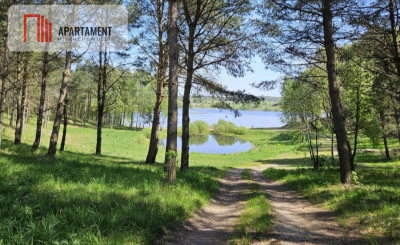Działka przy jeziorze Pomorskie blisko Miastka - powiat bytowski  -
Pomorskie Zdjęcie nr 12