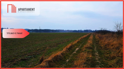 Tylko u nas Działka w Józefkowie - powiat nakielski  -
Kujawsko-Pomorskie