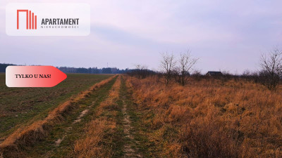 Tylko u nas Działka w Józefkowie - powiat nakielski  -
Kujawsko-Pomorskie Zdjęcie nr 2