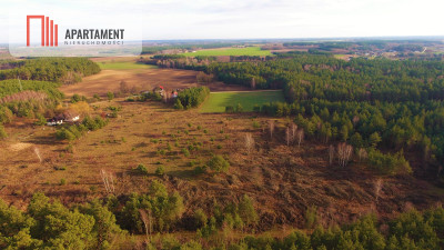 Godzimierz działki ze ścianą lasu- Tylko u nas - powiat nakielski  -
Kujawsko-Pomorskie Zdjęcie nr 2