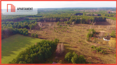 Godzimierz działki ze ścianą lasu- Tylko u nas - powiat nakielski  -
Kujawsko-Pomorskie Zdjęcie nr 4