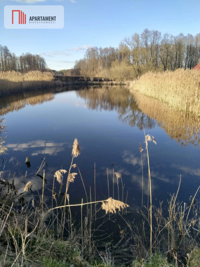 Piękna działka ze stawem - powiat bydgoski  -
Kujawsko-Pomorskie Zdjęcie nr 3
