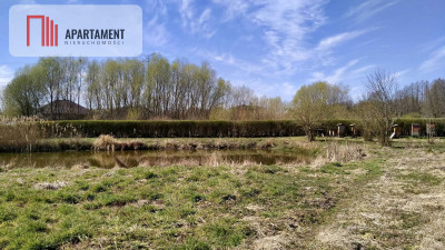 Piękna działka ze stawem - powiat bydgoski  -
Kujawsko-Pomorskie Zdjęcie nr 4