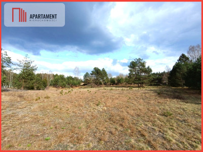 Tylko u nas Działka-cisza natura i potencjał - powiat starogardzki  -
Pomorskie