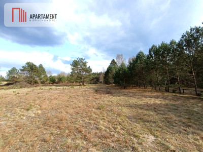 Tylko u nas Działka-cisza natura i potencjał - powiat starogardzki  -
Pomorskie Zdjęcie nr 2