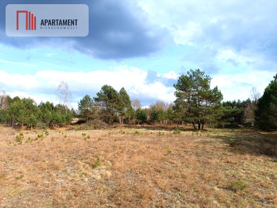 Tylko u nas Działka-cisza natura i potencjał - powiat starogardzki  -
Pomorskie Zdjęcie nr 3