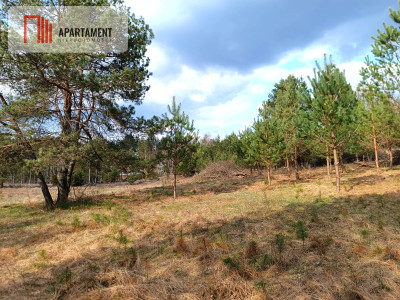 Tylko u nas Działka-cisza natura i potencjał - powiat starogardzki  -
Pomorskie Zdjęcie nr 5