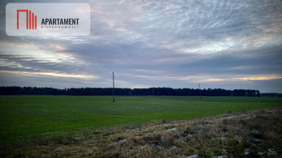 Działka rolna z potencjałem - powiat nakielski  -
Kujawsko-Pomorskie Zdjęcie nr 2