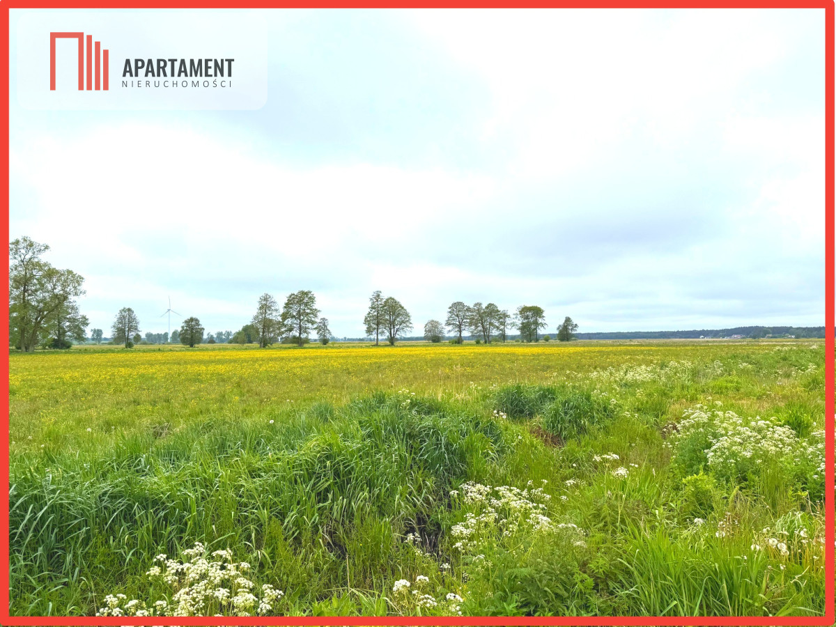 Nowa Wieś Wielka 800 m2 warunki zabudowy - powiat bydgoski  -
Kujawsko-Pomorskie Zdjęcie nr 1