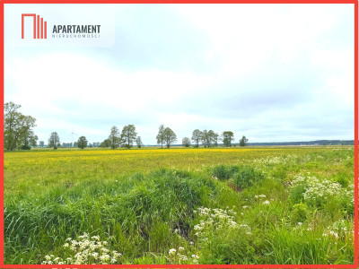 Nowa Wieś Wielka 800 m2 warunki zabudowy - powiat bydgoski  - Kujawsko-Pomorskie