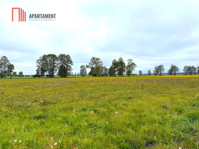 Nowa Wieś Wielka 800 m2 warunki zabudowy - powiat bydgoski  -
Kujawsko-Pomorskie Zdjęcie nr 2