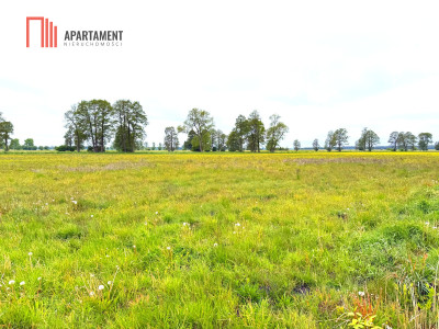 Nowa Wieś Wielka 800 m2 warunki zabudowy - powiat bydgoski  -
Kujawsko-Pomorskie Zdjęcie nr 3