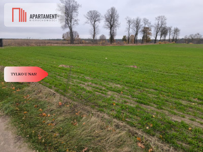Działki budowlane Lipinki Królewskie wydane WZ - powiat starogardzki  -
Pomorskie Zdjęcie nr 11