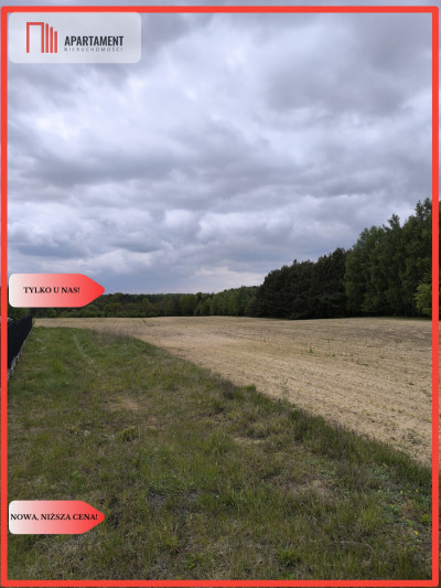 Tylko u nas -działka na sprzedaż - powiat rypiński  -
Kujawsko-Pomorskie Zdjęcie nr 2