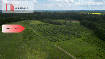 działki w Miradowie i Bietowie - powiat starogardzki  -
Pomorskie Zdjęcie nr 3