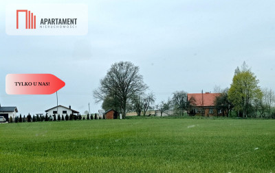 Cicha okolica przy ścianie lasu - powiat chojnicki  -
Pomorskie Zdjęcie nr 2