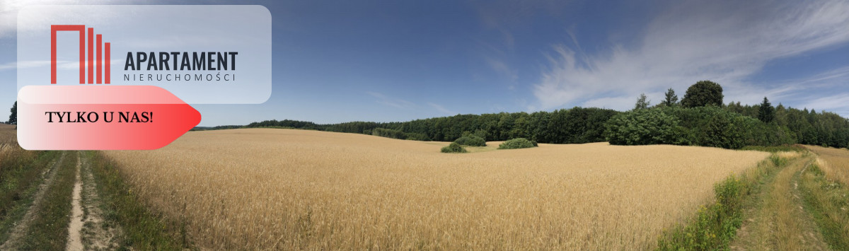 TYLKO U NAS Działka Rolna Trzcianka Mirowo Małe - Kamierowskie Piece  -
Pomorskie Zdjęcie nr 1