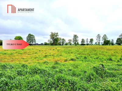 Dziemionna 730 m2 z warunkami zabudowy - powiat bydgoski  -
Kujawsko-Pomorskie Zdjęcie nr 2