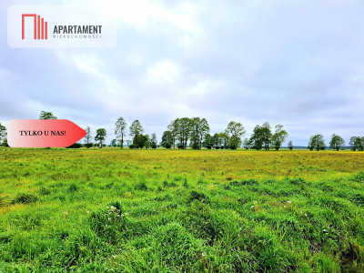 Dziemionna 730 m2 z warunkami zabudowy - powiat bydgoski  -
Kujawsko-Pomorskie Zdjęcie nr 3