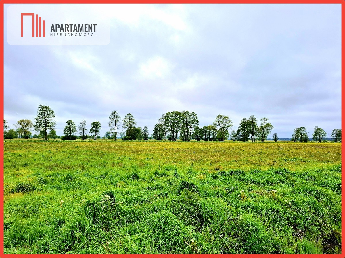 Dziemionna 1440 m2 z warunkami zabudowy - powiat bydgoski  -
Kujawsko-Pomorskie Zdjęcie nr 1