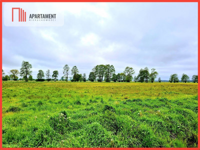 Dziemionna 1440 m2 z warunkami zabudowy - powiat bydgoski  - Kujawsko-Pomorskie