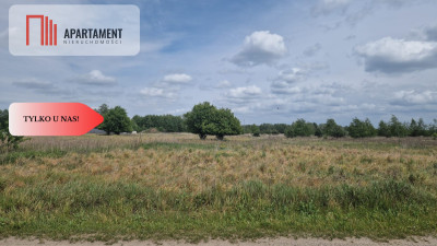 Działka z warunkami zabudowy - powiat toruński  -
Kujawsko-Pomorskie Zdjęcie nr 2