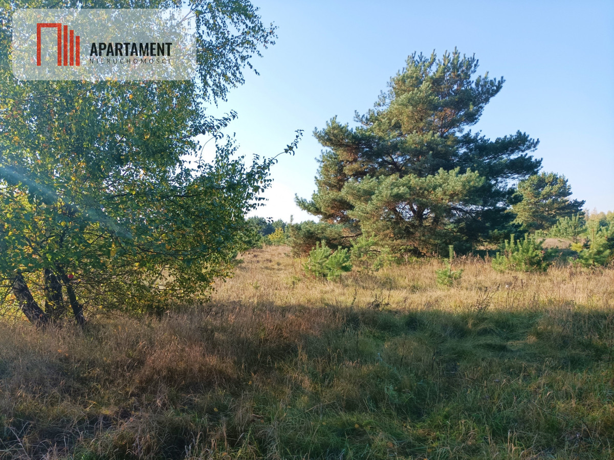 ATRAKCYJNA ZACISZNA I ZIELONA DZIAŁKA  - powiat toruński  -
Kujawsko-Pomorskie Zdjęcie nr 1