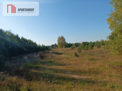 ATRAKCYJNA ZACISZNA I ZIELONA DZIAŁKA  - powiat toruński  -
Kujawsko-Pomorskie Zdjęcie nr 3