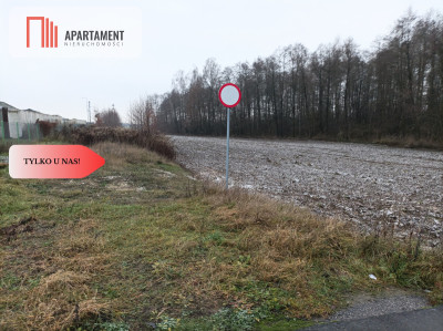 Tylko u NAS ATRAKCYJNA DZIAŁKA INWESTYCYJNA - powiat świecki  -
Kujawsko-Pomorskie Zdjęcie nr 2