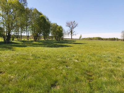 Sprzedam działkę-po sąsiedzku z gruntami budowlanymi, jezioro, las -
Warmińsko Mazurskie