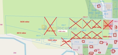 Na sprzedaż działka budowlana - Suków -
świętokrzyskie Zdjęcie nr 4