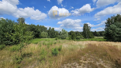 Na sprzedaż działka budowlana - Niestachów -
świętokrzyskie Zdjęcie nr 5