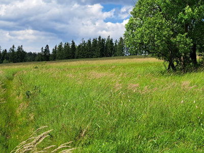 Widokowe uzbrojone działki budowlane w Górach Sowich -
dolnośląskie Zdjęcie nr 2