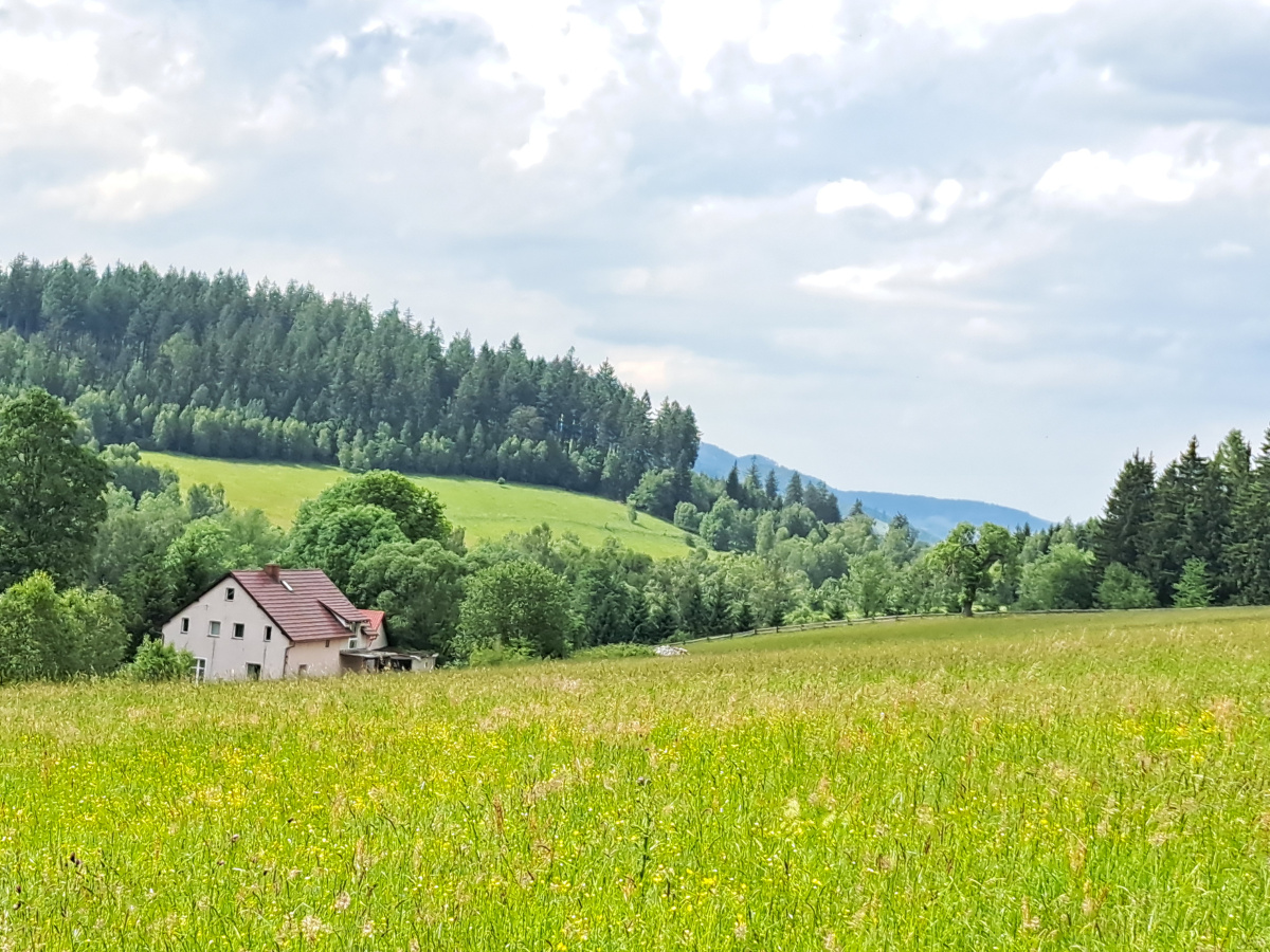 Widokowe uzbrojone działki budowlane w Górach Sowich -
dolnośląskie Zdjęcie nr 1