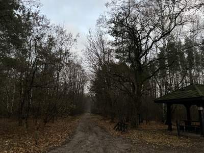 Działka budowlana w spokojny miejscu z dostępem do infrastruktury -
Mazowieckie Zdjęcie nr 2