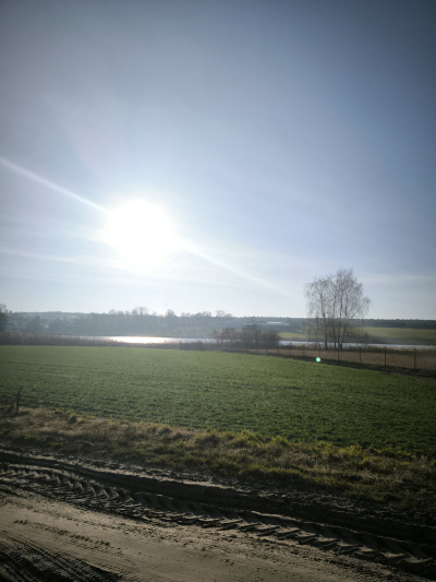 Pierwsza linia brzegowa jeziora działka budowlana -
Wielkopolskie Zdjęcie nr 2