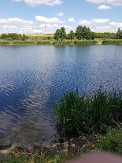 Na sprzedaż działka budowlana - Owieczki - wielkopolskie