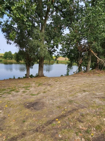 Na sprzedaż działka budowlana - Owieczki -
wielkopolskie Zdjęcie nr 4